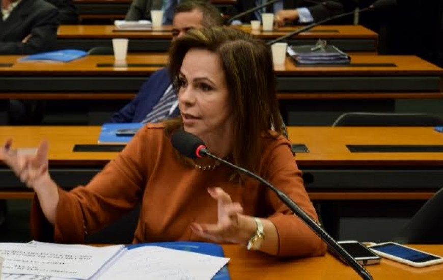 Deputada federal Professora Dorinha