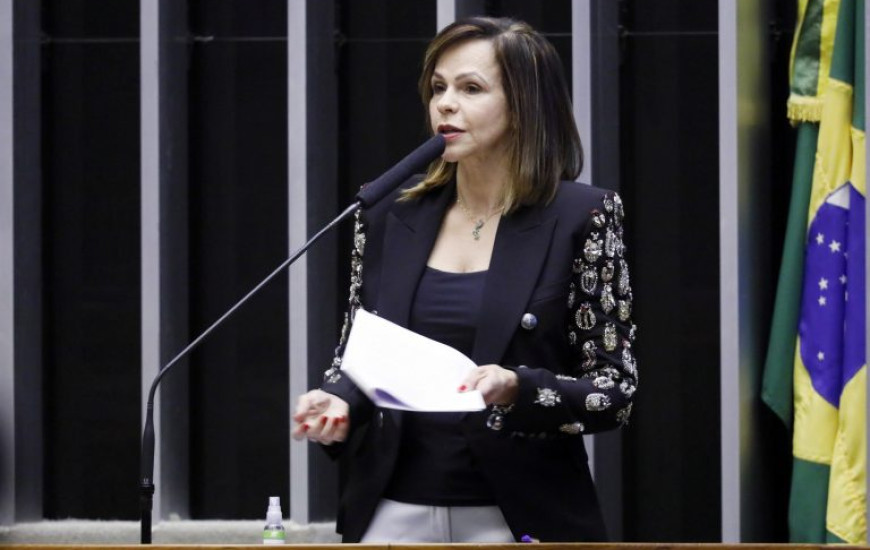 Deputada federal Professora Dorinha (DEM/TO).