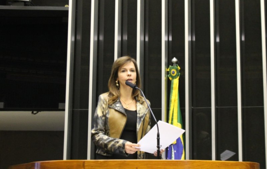 Dorinha Seabra