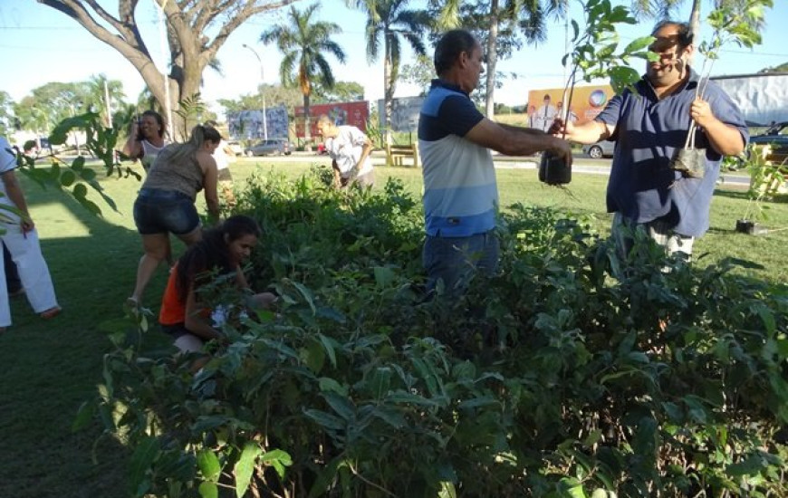 Prefeitura de Gurupi distribui mudas de árvores