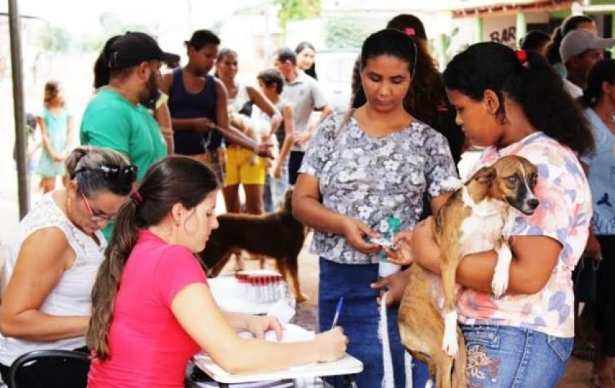 Campanha contra raiva em Gurupi