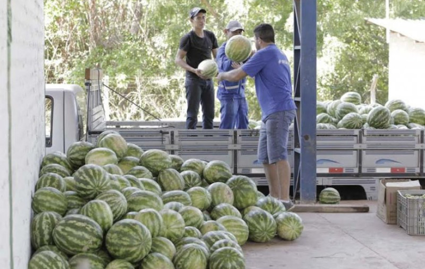 Distribuição de alimentos para população carente