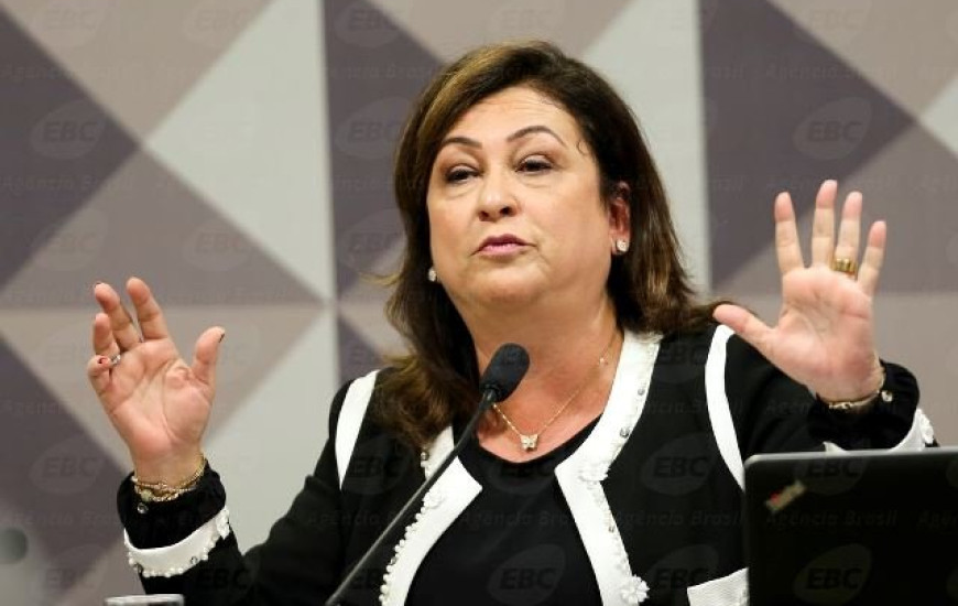 Kátia faz defesa de Dilma no Senado