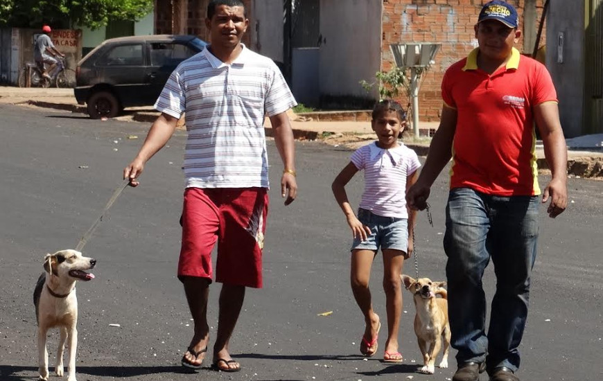 Sabado haverá vacinação para cães e gatos em Gurupi
