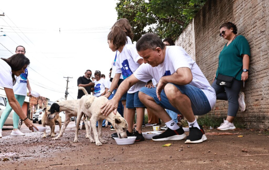 Cães e gatos são alimentados em ação da Prefeitura de Palmas