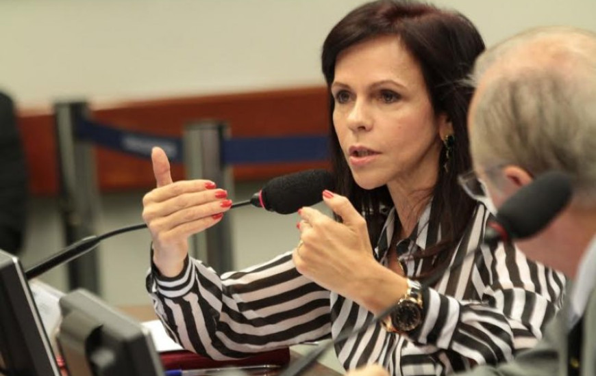 Deputada federal Profª Dorinha