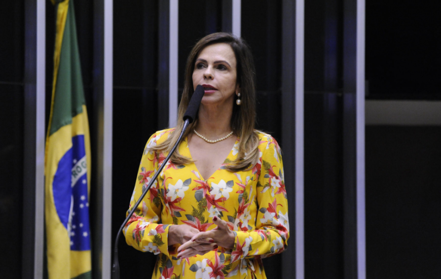 Deputada federal Professora Dorinha (DEM/TO).