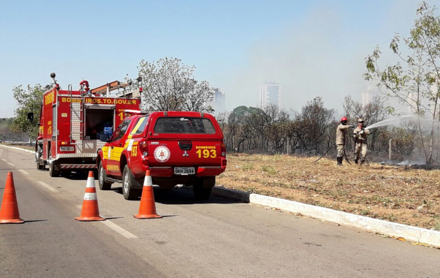 Área de reflorestamento foi completamente destruída