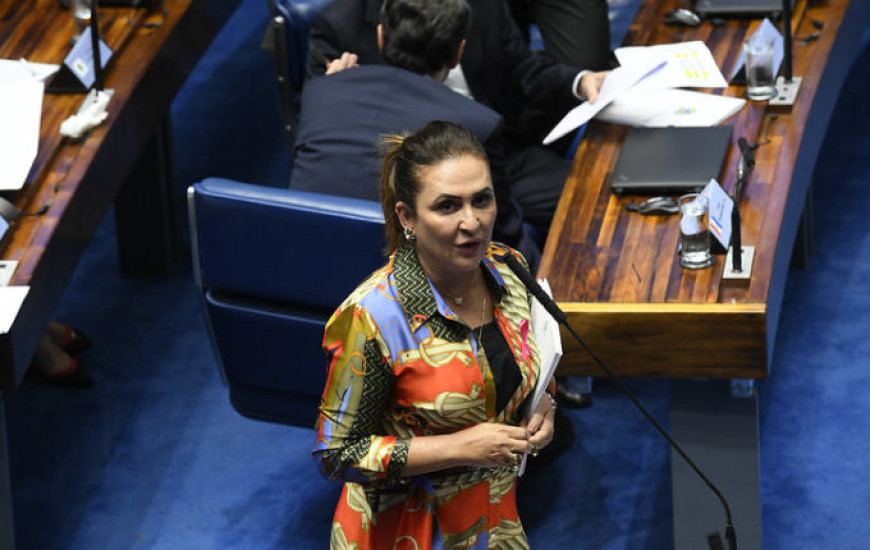 Senadora Kátia Abreu (PP-TO).