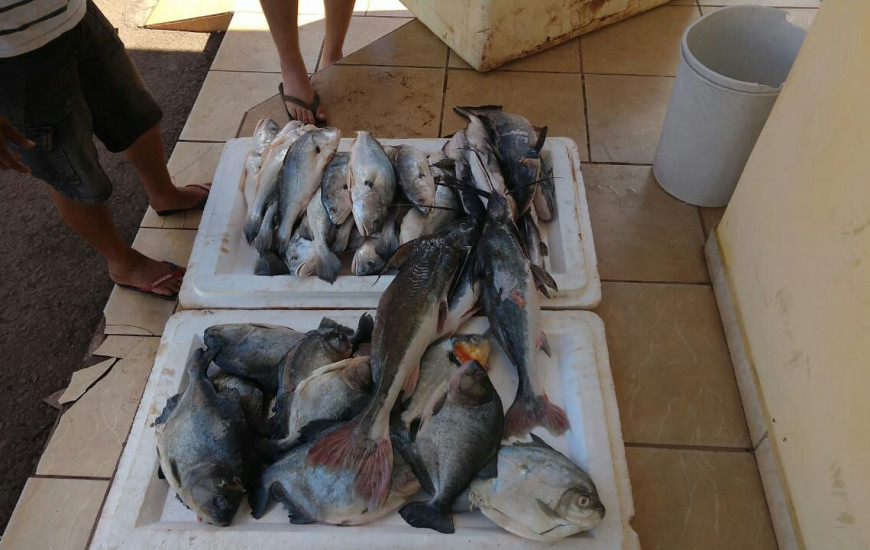 Pescado ilegal foi apreendido pela polícia 