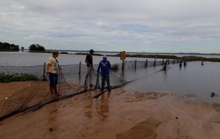 Peixes e arraias são retirados de dentro da área de banho