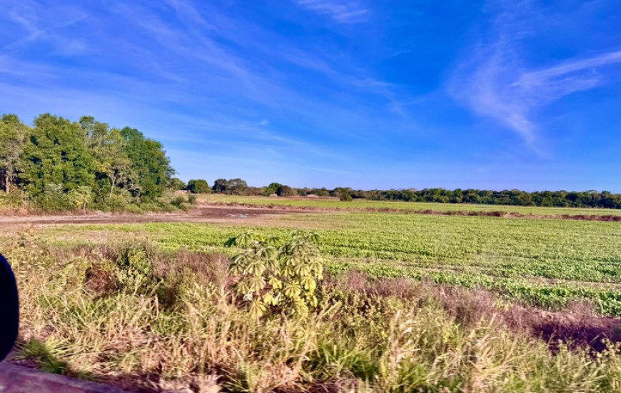 O Polo de Agricultura Irrigada no Sudoeste do Tocantins será o 13º do país