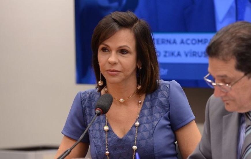 Deputada Dorinha