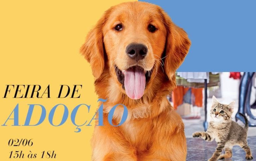 Feira acontece na tarde deste sábado, em Palmas