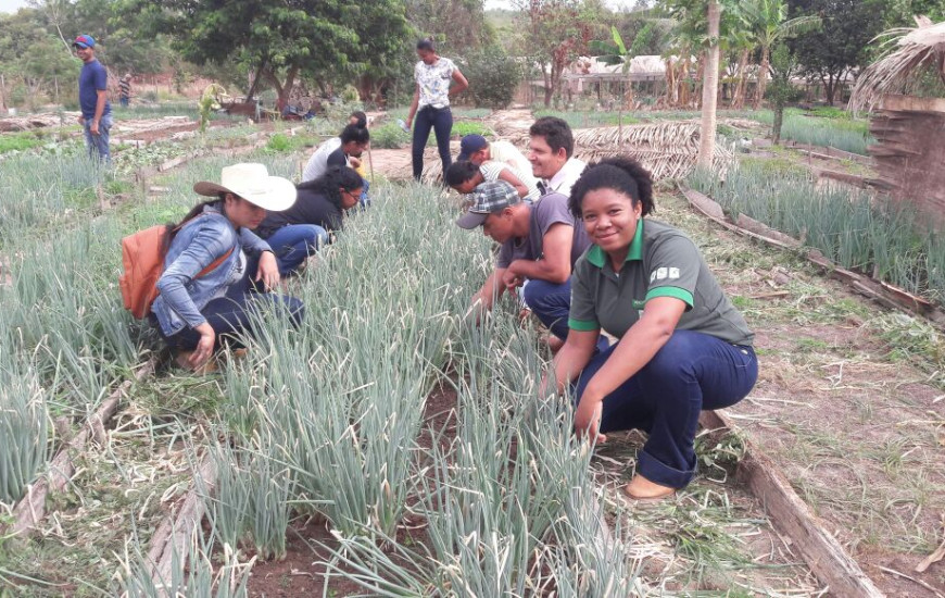 Alunos aprendem manejos em horta municipal