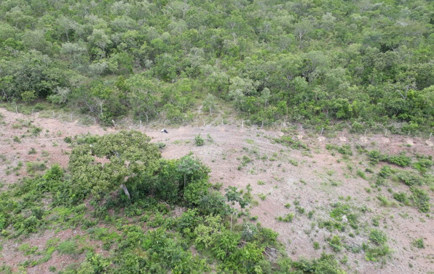 Corpo foi localizado em estrada após sobrevoo 