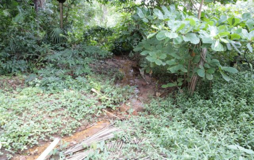 Recuperar 50 nascentes na Bacia Hidrográfica do Rio Lontra é o intuito