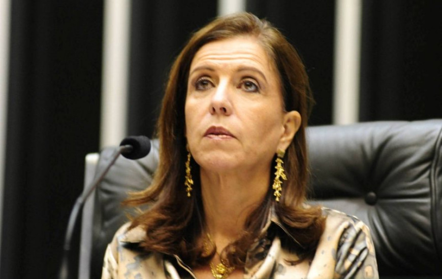 Deputada Nilmar Ruiz