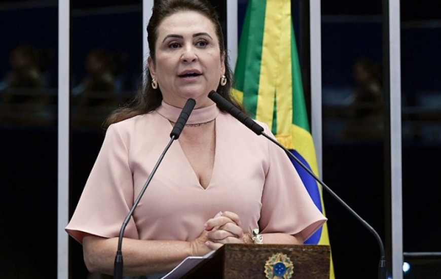 Senadora Kátia Abreu (PP-TO)