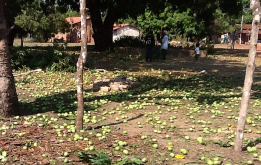 Moradores tiveram prejuízos