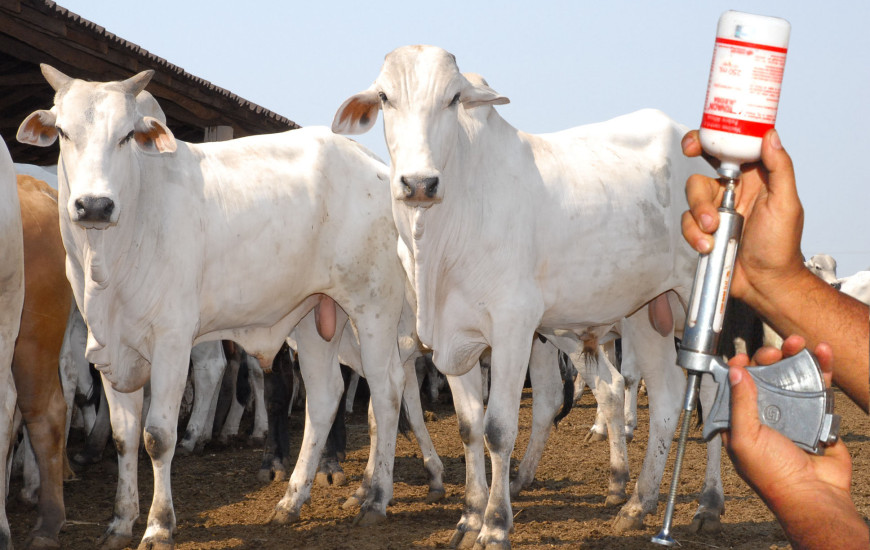 Plano começa a valer este ano e continua até 2026