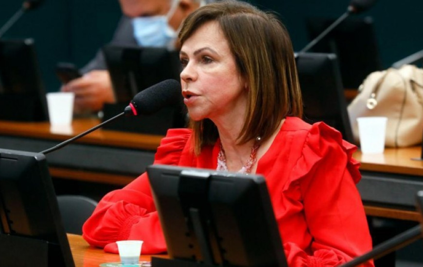 Deputada federal Professora Dorinha (DEM/TO).