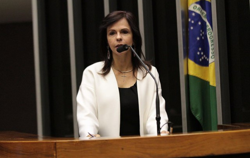 Deputada federal Profª Dorinha