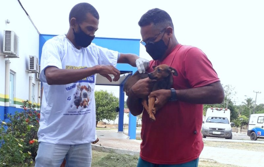 Equipes municipais já estão vacinando e irão avaliar a continuidade da campanha