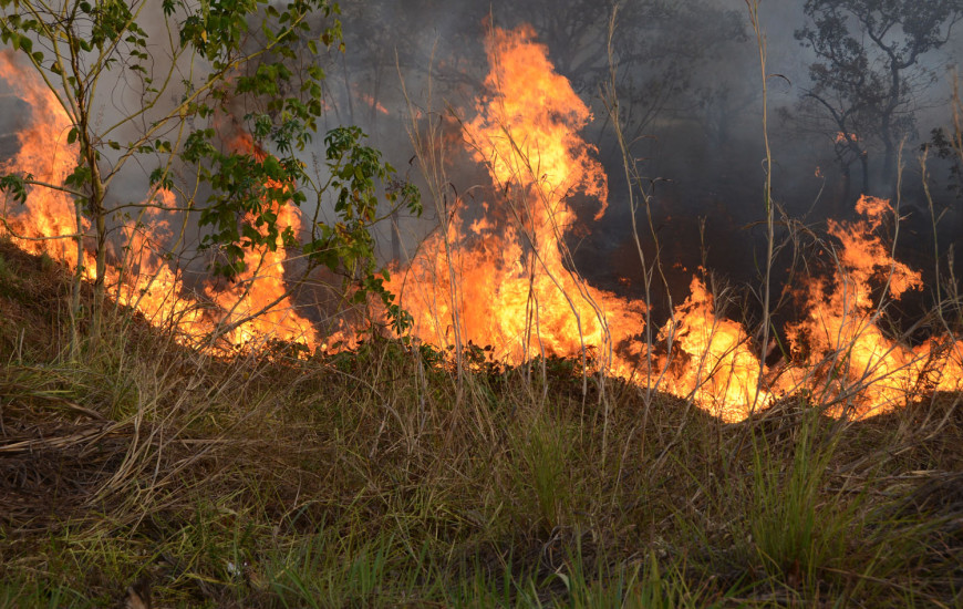 Incêndio atinge rede de energia que abastece Palmas e região