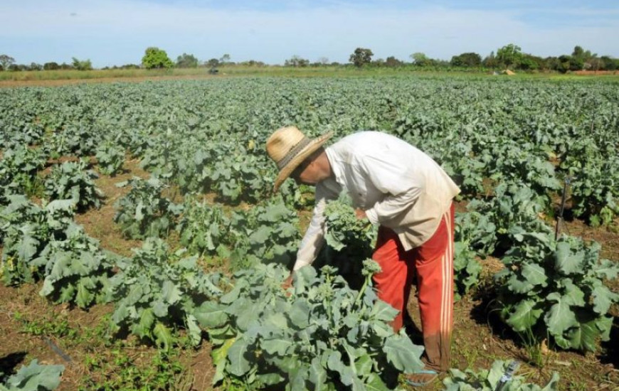 Pequeno produtor rural é alvo de projeto