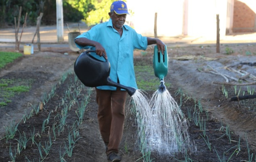 Horta beneficiará mais de 50 famílias