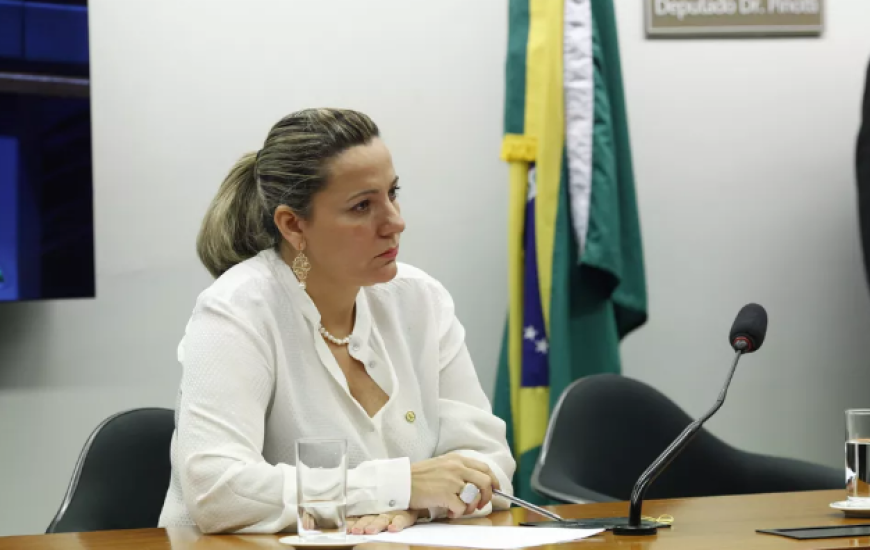 Deputada federal Dulce Miranda (MDB-TO)