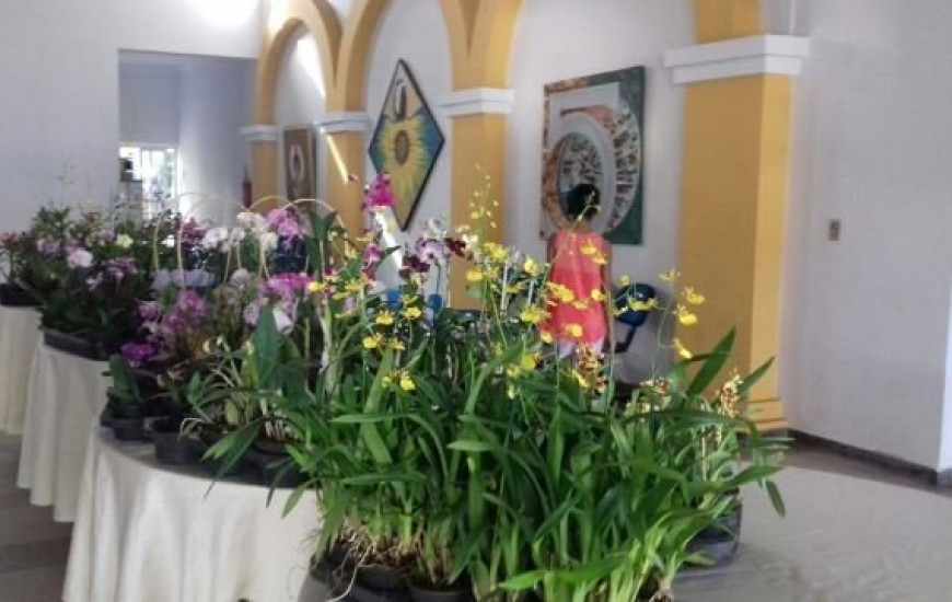 Exposição de flores acontece até quarta-feira