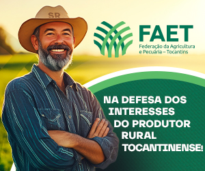 Publicidade T1 Notícias