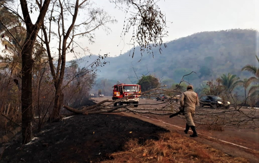 Bombeiros combatem fogo na margem da rodovia.
