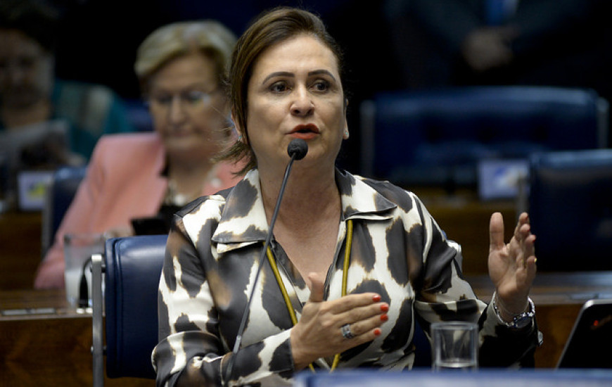 Senadora Kátia Abreu
