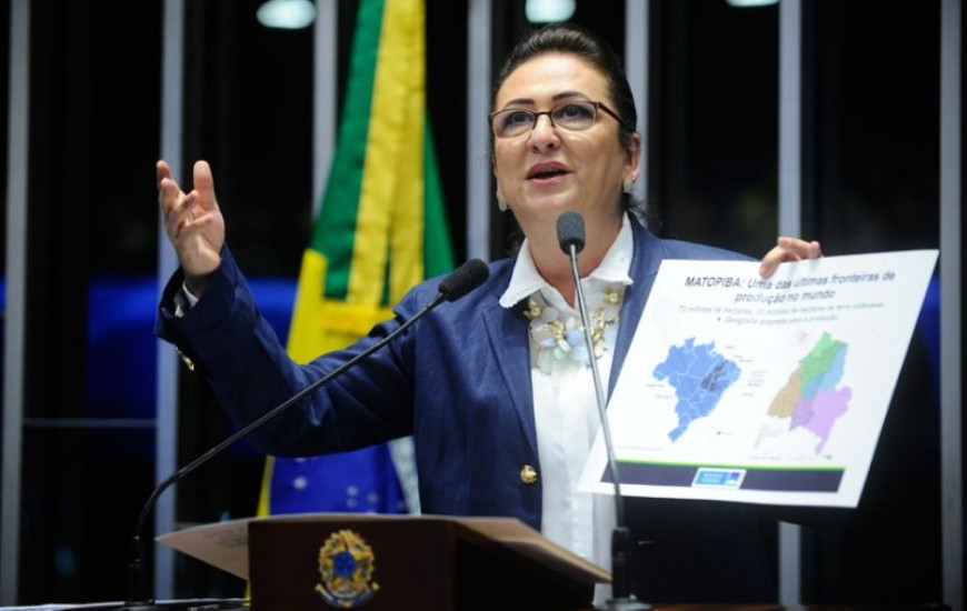 Senadora Kátia Abreu