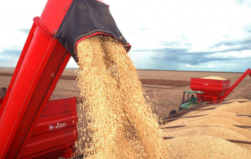 Agronegócio é o principal impulsionador do PIB nos municípios tocantinenses