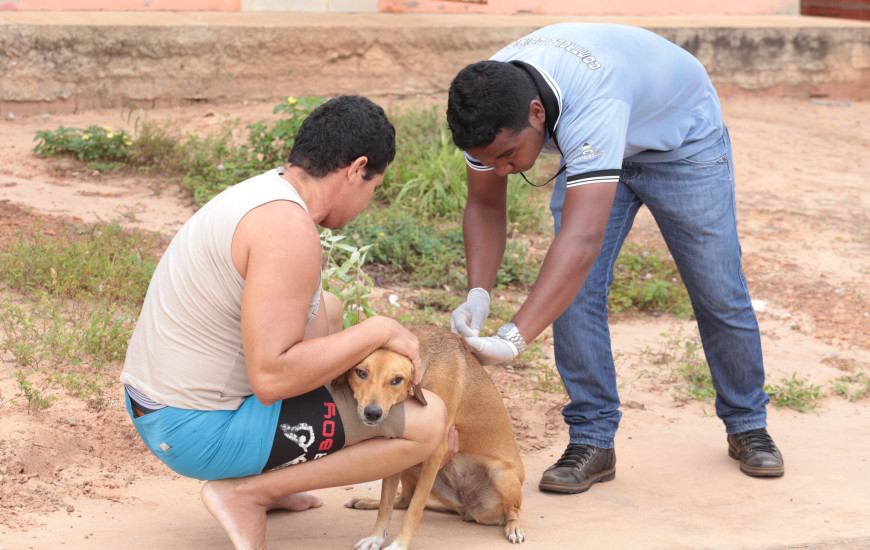 Meta é vacinar 25.991 cães e gatos na cidade