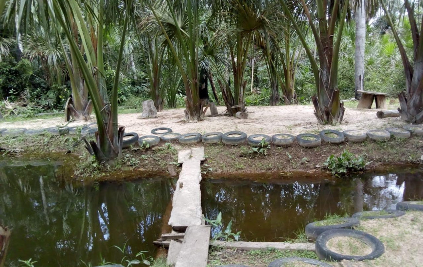 Das 27 chácaras visitadas na força-tarefa, 22 foram autuadas pelos órgãos