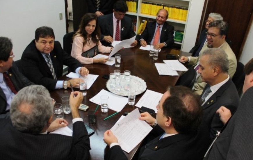 Deputada definiu emenda