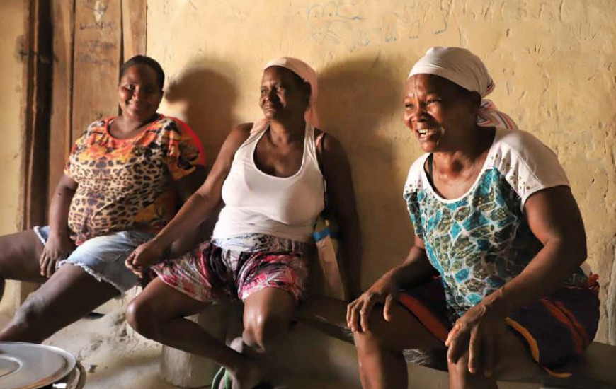 Foto ilustração de raizeiras 