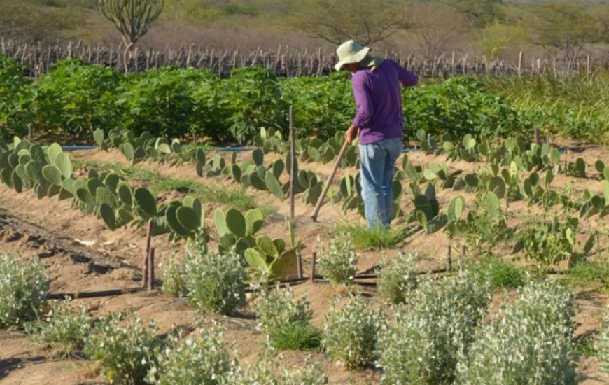 Lei oferece carência até 2020