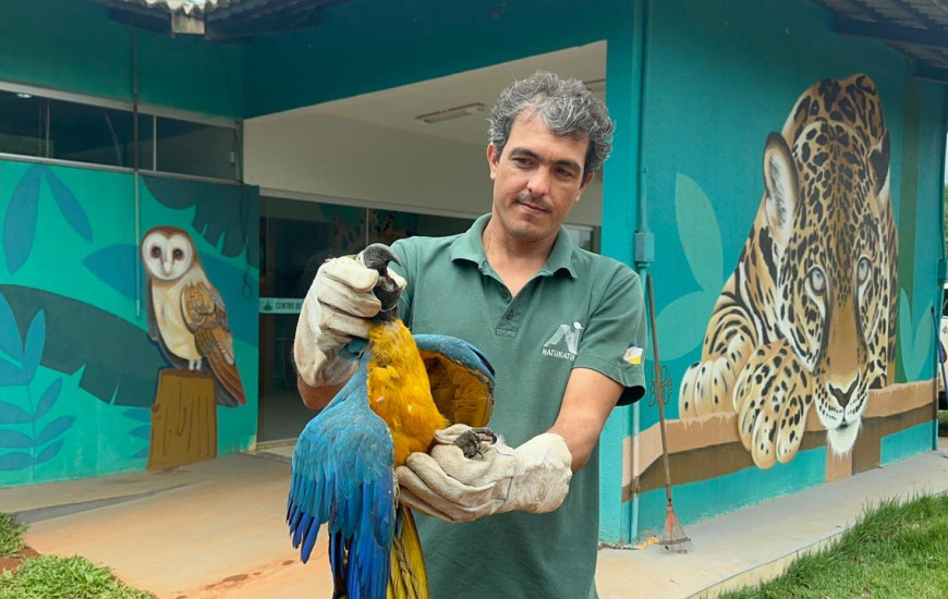 Equipe levou a arara-canindé para o Centro de Fauna do Tocantins