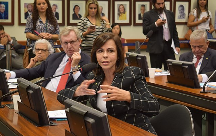 Deputada federal Professora Dorinha