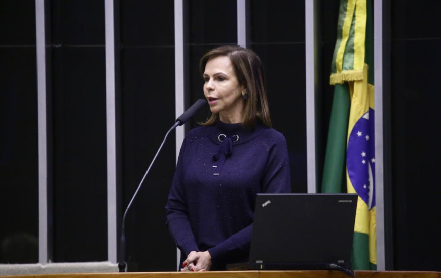 Deputada Professora Dorinha (DEM/TO).