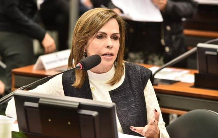 Deputada federal Professora Dorinha