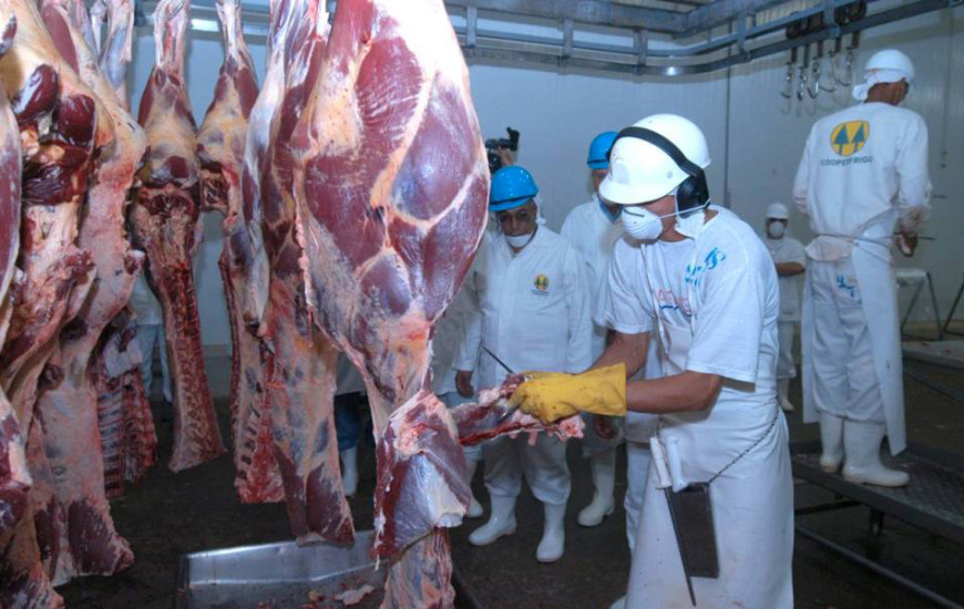 Carne tocantinense sem febre aftosa 