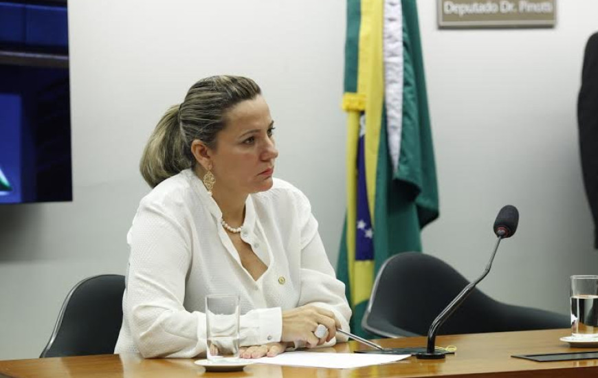Dulce defende o Projeto de Lei 7735/14