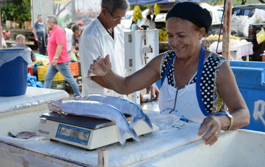 Venda de peixes crescem na capital 